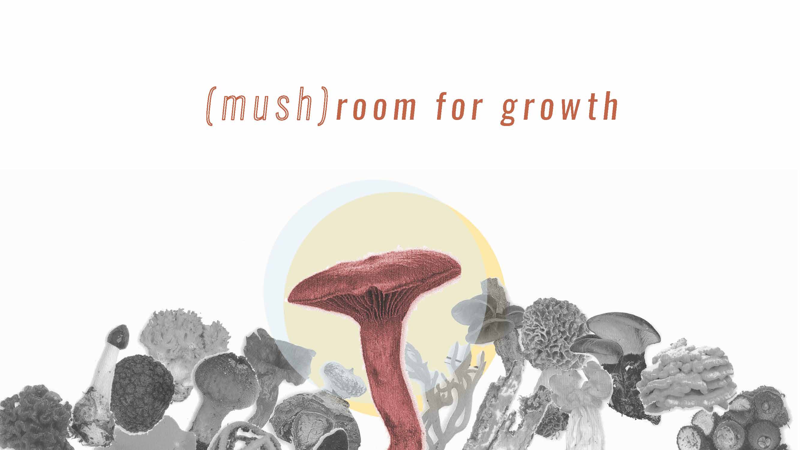 You are currently viewing [mush]room for growth by RIVERA, MAISE